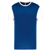 dark-royal-blue-white