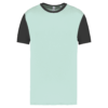 ice-mint-dark-grey