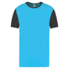 light-turquoise-dark-grey