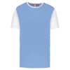 sky-blue-white