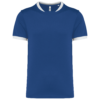 dark-royal-blue