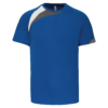 sporty-royal-blue-white-storm-grey