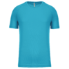 light-turquoise