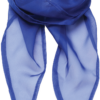 royal-blue