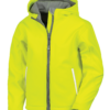 neon-yellow