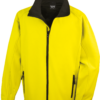 yellow-black