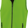 vivid-green-black