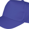 royal-blue