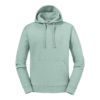 eucalyptus-green