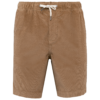 dark-camel