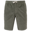pale-khaki