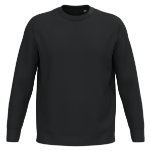 Visuel Pull écoresponsable à col rond homme