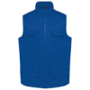 royal-blue