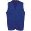 royal-blue