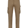 camel