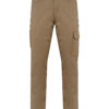 camel