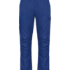 royal-blue