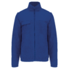 royal-blue