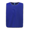 royal-blue