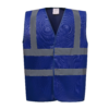 royal-blue