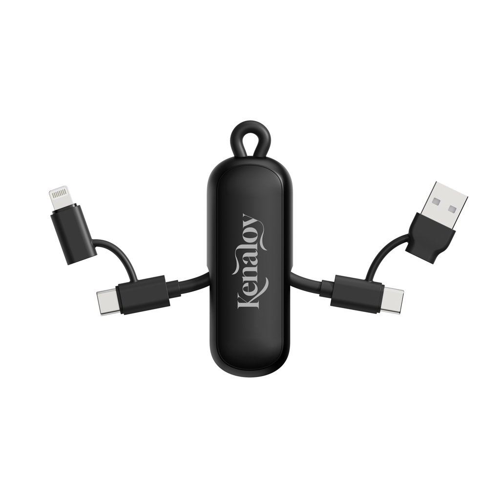 Miniature 10 pour Câble 100W porte-clés 4-en-1 Urban Vitamin Dublin