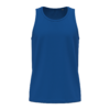 royal-blue