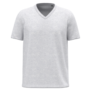 Visuel T-shirt Bio150 col V homme