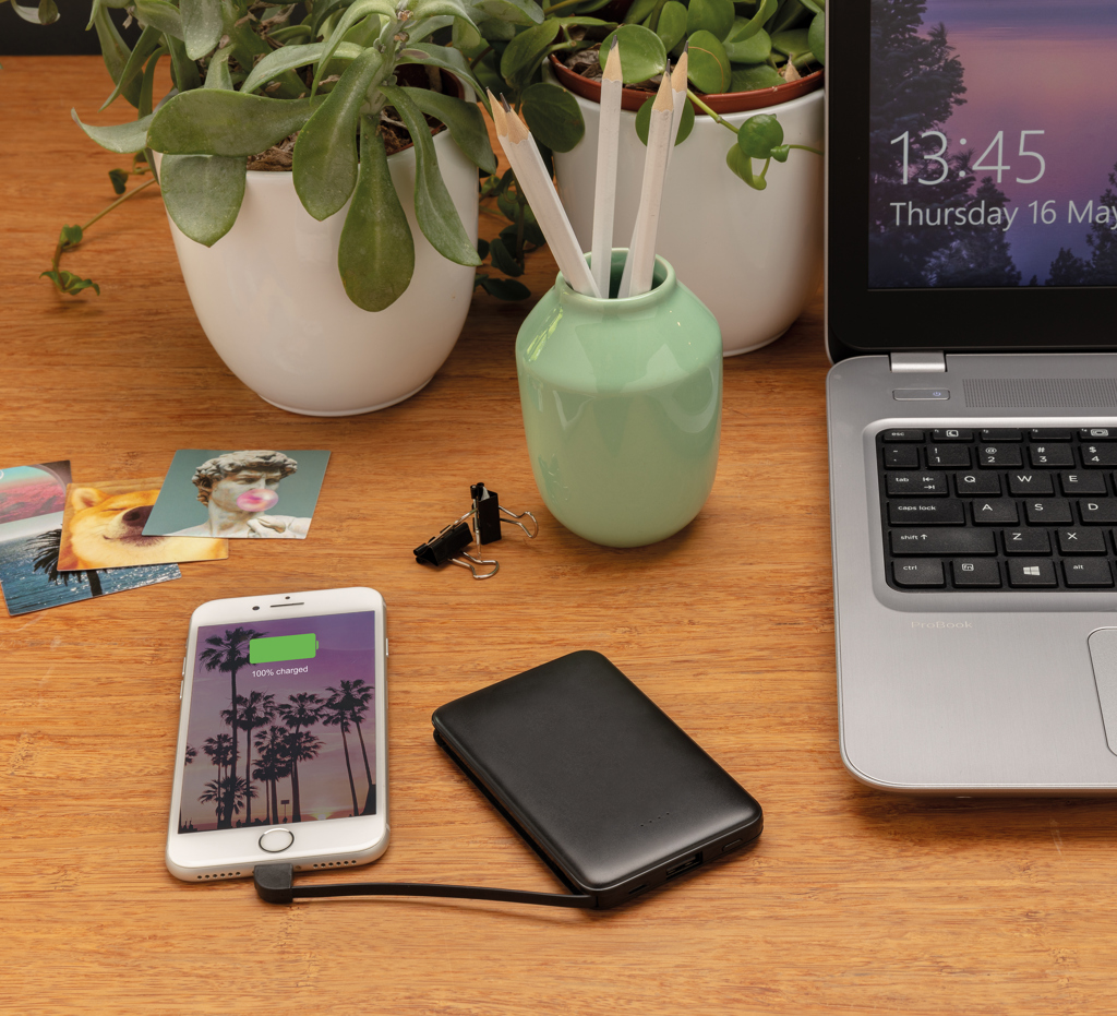 Miniature 12 pour Batterie de secours 5000 mAh avec câbles intégrés