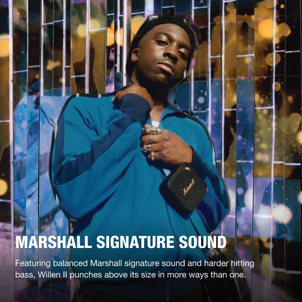 Miniature 8 pour Marshall Enceinte Willen II
