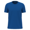 royal-blue